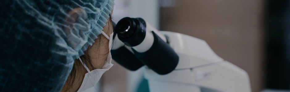 Bayer Italia accelera sull’innovazione