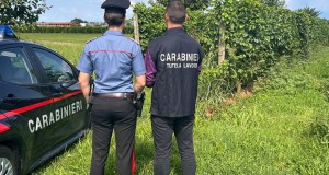 Lotta al caporalato in agricoltura, irregolari tutte e 18 le aziende controllate