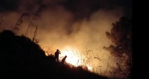 Vasto incendio ad Altavilla Milicia, il Comune “Ora la conta dei danni”