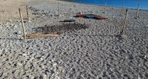 Intimidazioni nel mandamento di San Lorenzo, fiamme a pizzeria e chiosco in spiaggia