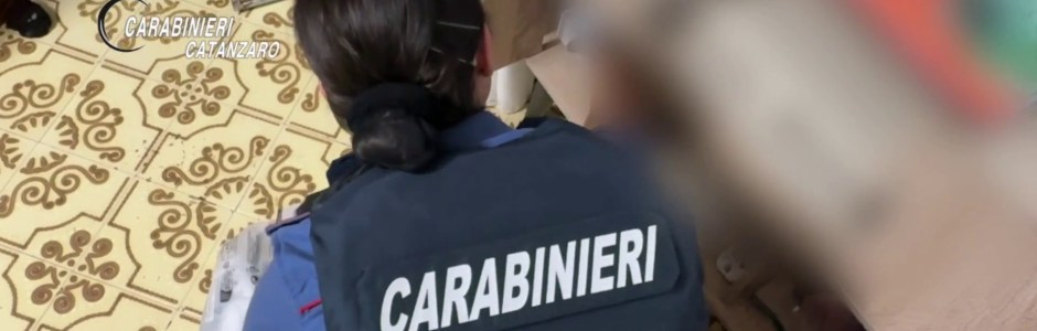 ‘Ndrangheta, blitz in tre regioni: 9 arresti e due aziende sequestrate