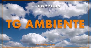 Tg Ambiente – 21/6/2026