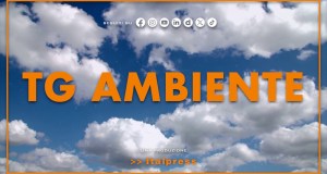 Tg Ambiente – 28/6/2026