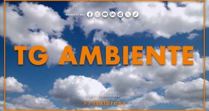 Tg Ambiente – 12/7/2026