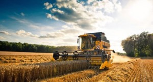 Agricoltura, 167 milioni per la filiera agroalimentare: pubblicate le graduatorie provvisorie