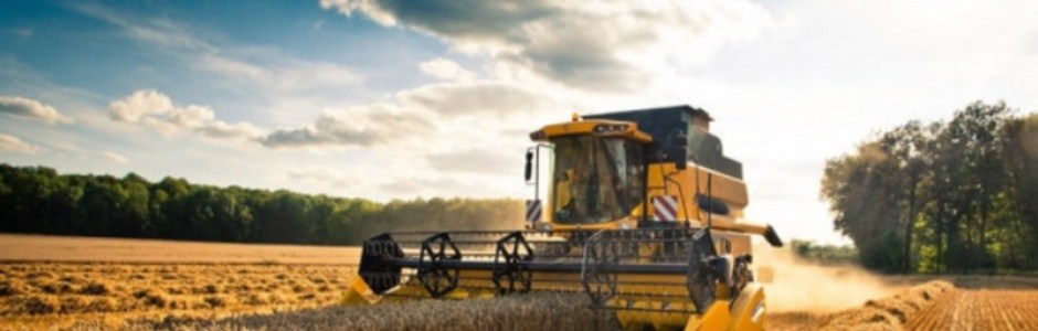 Agricoltura, 167 milioni per la filiera agroalimentare: pubblicate le graduatorie provvisorie