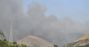 Incendi, la Regione mette in campo 18 milioni per la riforestazione