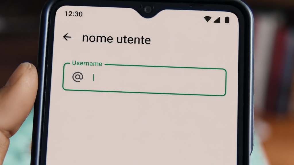 Username di WhatsApp
