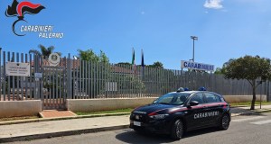 Rissa con i carabinieri dopo la scoperta di una piantagione di droga, due arresti