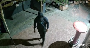 Furto in un panificio a Palermo e il commerciante posta il video sui social