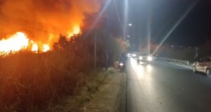 La riserva Ciane Saline in fumo: l’ombra dei piromani, parte la conta dei danni