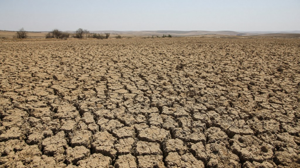 Terreno arido per la siccità. Immagine generata dall’AI.