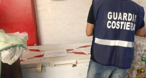 Ispezioni della Guardia Costiera a Palermo, sequestrate 1,5 tonnellate di pesce e 12mila euro di multe