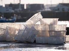 Aveva allestito un ristorante abusivo nel giardino di casa: sequestrati 60 chili di pesce