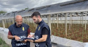 Lavoro sommerso nel Trapanese, diciannove lavoratori irregolari in tre aziende agricole