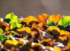 Meteo, ottobre parte con caldo fino a 30°C: poi arrivano le prime piogge