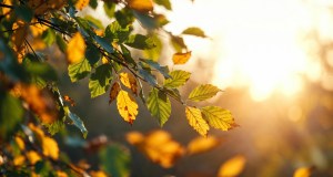 Meteo Italia, weekend tra minime in calo e sole: poi torna il caldo con punte di 31°C