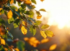 Meteo Italia, weekend tra minime in calo e sole: poi torna il caldo con punte di 31°C