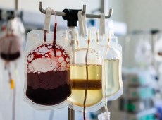 Testimoni di Geova, svolta storica sulle trasfusioni: cosa cambia