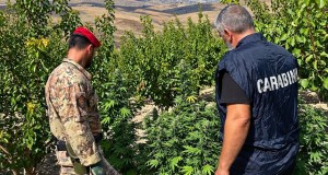 Armi e piantagione di marijuana tra Licata e Butera, denunciato un uomo