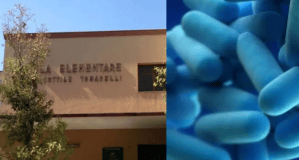 Allarme legionella, l’Amap scende in campo: “Analisi gratis in condomini e uffici pubblici”