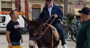 Palazzolo, il sindaco Gallo su un asino contro il caro carburante: il video diventa virale