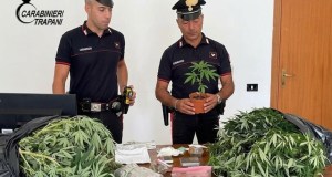 Coltivazione e spaccio di droga in una contrada di Marsala. arrestati padre e figlio