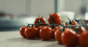 Focolai di salmonella, stop ai pomodori crudi nelle mense: un lotto contaminato arriva da Caltanissetta
