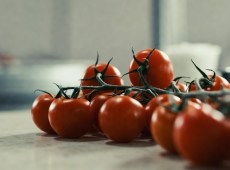 Focolai di salmonella, stop ai pomodori crudi nelle mense: un lotto contaminato arriva da Caltanissetta
